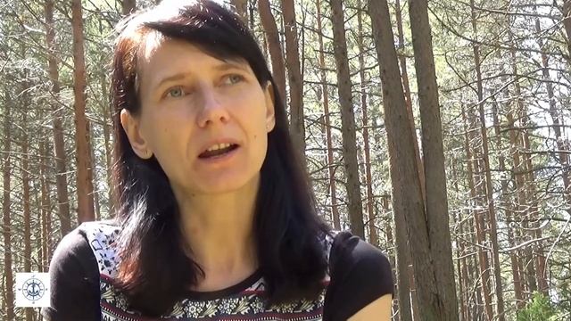Сны, которые не нужно толковать смотреть онлайн