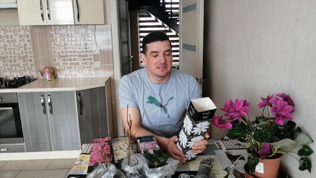КУПЛЕННЫЕ РАСТЕНИЯ В АШАНЕ. ОБЗОР.ЧАСТЬ 2. смотреть онлайн