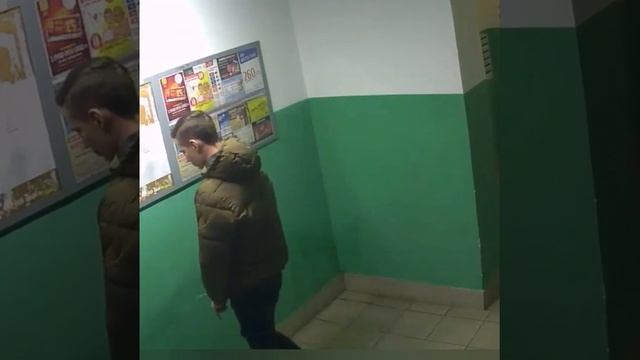 Гадит в подъезде смотреть онлайн