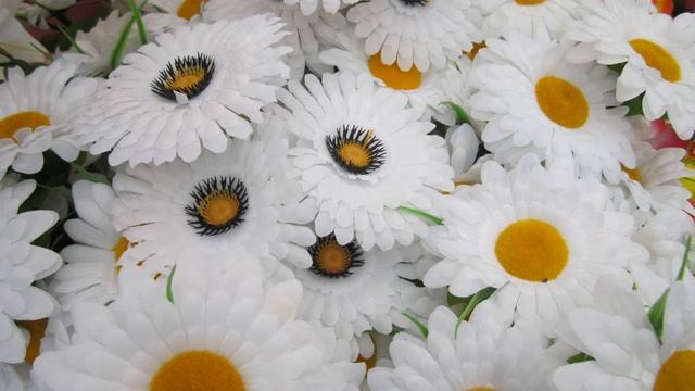 flowers (цветы) смотреть онлайн