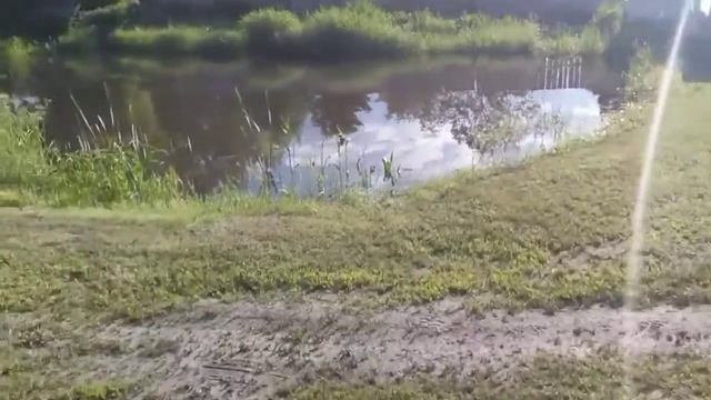 Газонокосилка, кошу газон, купаюсь в пруду. смотреть онлайн