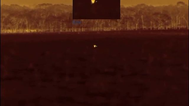 Predator calling with the Pulsar Thermion XG50 смотреть онлайн
