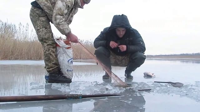 Зимняя рыбалка, снимаем сети, толстолоб, раки. fishing with nets. video смотреть онлайн