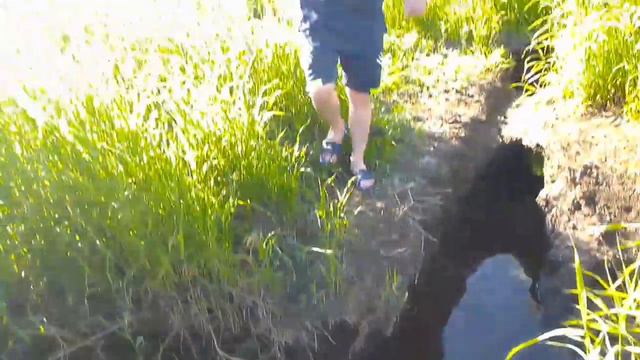 Сломанная платина бобра ► Река Мокрянка. смотреть онлайн