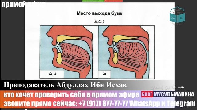 МАХРАДЖ БРАТЬЯ от 07.10.2019 смотреть онлайн