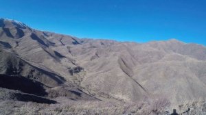 Горная охота на кеклика (куропатку) в Казахстане. ТОЗ 63. Охота 2020 с дратхаарами. КООР Табигат