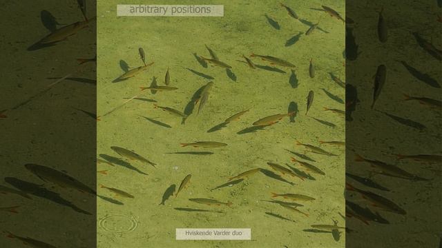14 . position смотреть онлайн