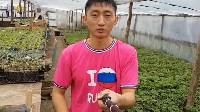 Бизнес идея. Выращивание ЗЕЛЕНИ. ВВЕДЕНИЕ. смотреть онлайн