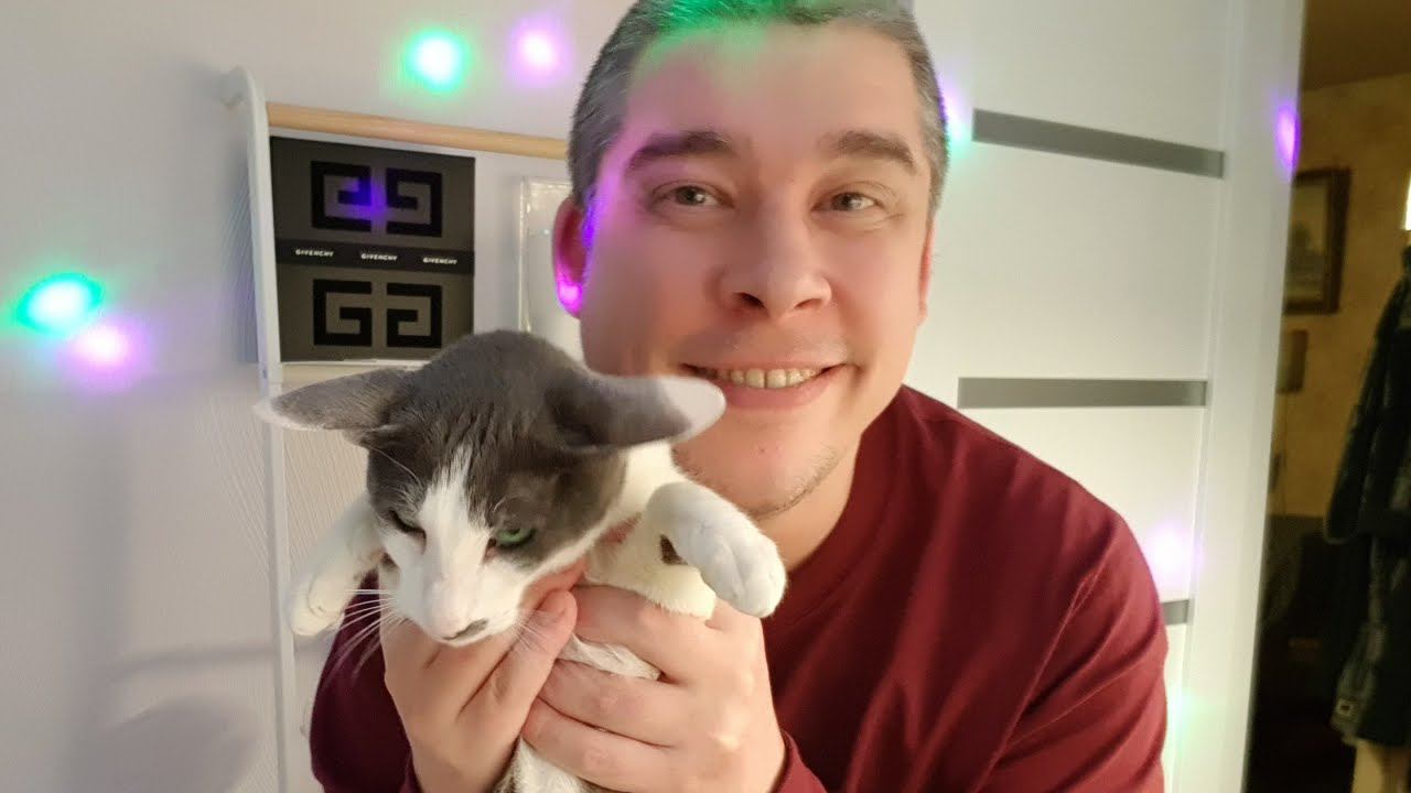 С Новым Годом, Дружина смотреть онлайн