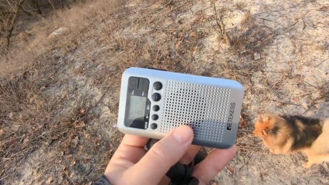 Що можна почути на середніх хвилях на кишеньковий радіоприймач Retekess TR106 смотреть онлайн