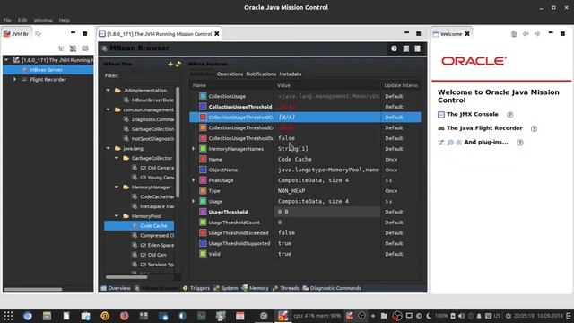 Ubuntu Budgie 18.04 Java Control test смотреть онлайн
