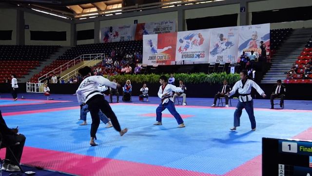 Team USA | Team Freestyle Poomsae | 2023 Pan Am Taekwondo Championships | 자유 품새 смотреть онлайн