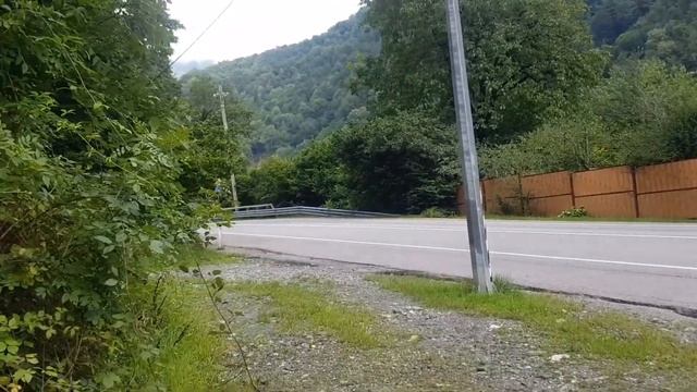 В лес за ежевикой