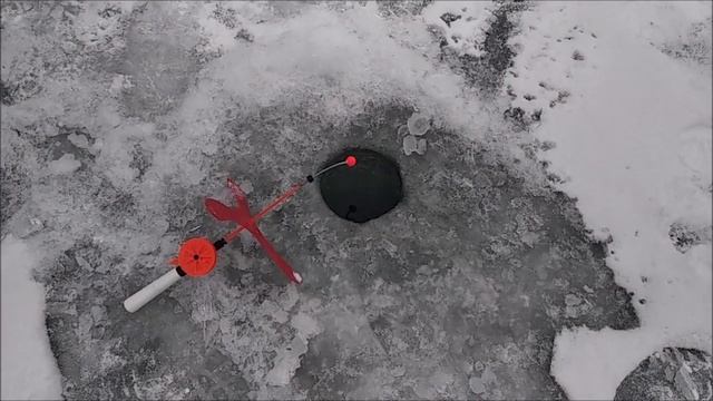 Краткий обзор со спорт-зоны. Клёвое место Лосиный остров. смотреть онлайн