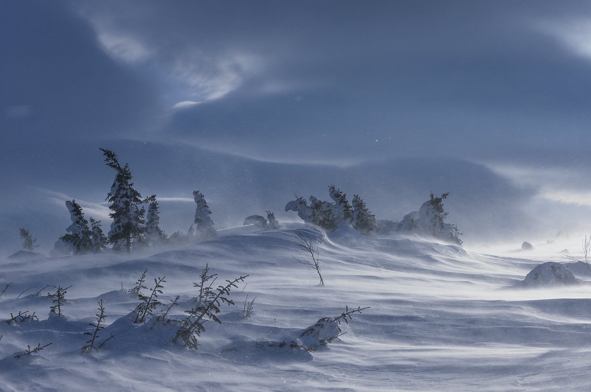 Двадцать шагов туда и обратно. смотреть онлайн