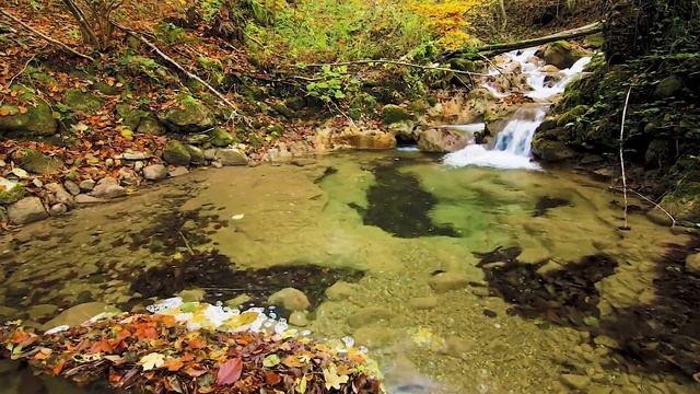 Релакс видео для Медитации. Маленький Осенний Водопад в Сосновом Лесу. Осознанная Медитация смотреть онлайн