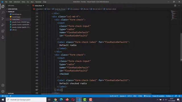 Bootstrap Form Oluşturma(check-radio-select) - Bootstrap 5 ile Responsive Tasarım Dersleri 2020 смотреть онлайн