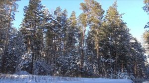 Исцеление от головной боли Для женщин