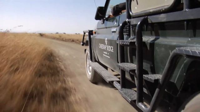 Nambiti Private Game Reserve смотреть онлайн