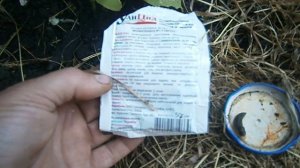 Враг и яд для слизней,друг и пища для растений - УЛИЦИД