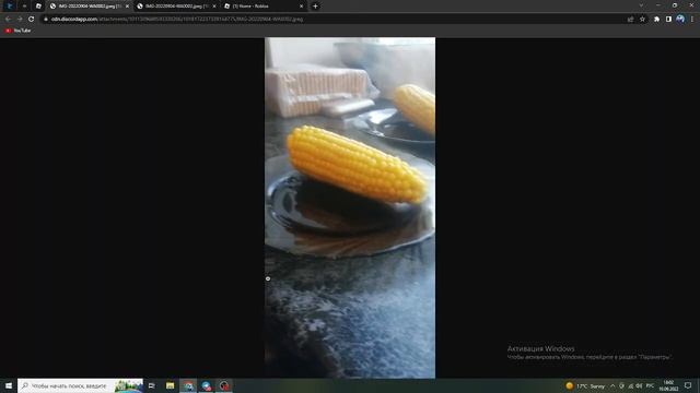 image logger roblox method смотреть онлайн
