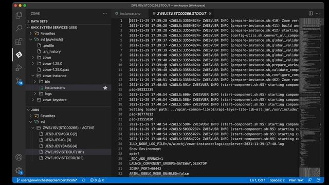 Zowe Configure Instance and Launch with Self Signed Keystore Certificate смотреть онлайн