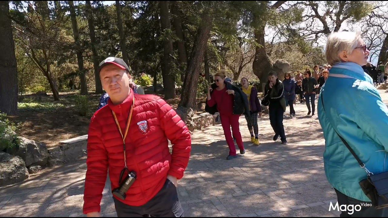 Где самые красивые тюльпаны? Никитский ботанический сад. Крым смотреть онлайн