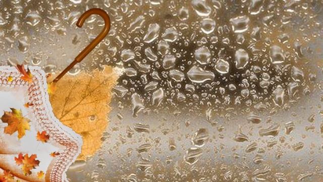 МОИ ПЕРЕХОДЫ смотреть онлайн