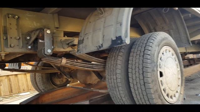 Домашний Метаморфоз