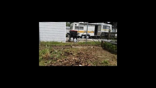 Weekend Project to save a forgotten garden смотреть онлайн
