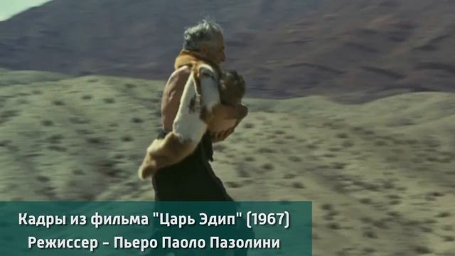 Дикая Природа в 360 Градусов