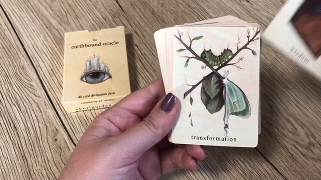 Top 6 Recommendations for Interesting, Quirky, Unique Oracle Decks! ?? смотреть онлайн