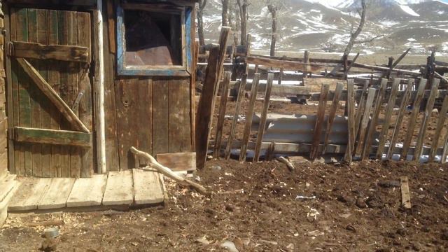 Пастушьи домики у реки Тыдтуярык, Алтай смотреть онлайн