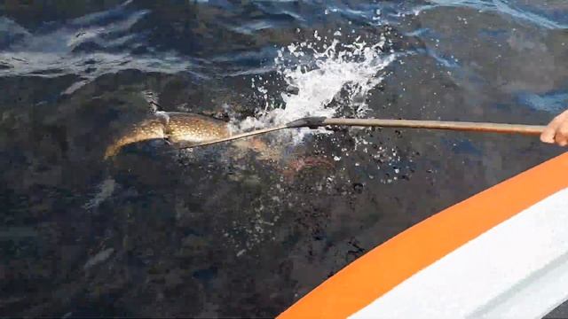 Щука 5 кг на ультралайт смотреть онлайн