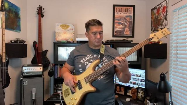 Green Day - Longview (bass cover) смотреть онлайн