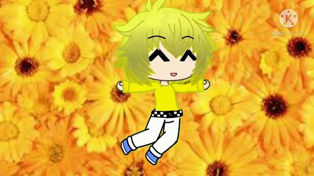 Анимация Феликса в Gacha animation (13 карт) смотреть онлайн