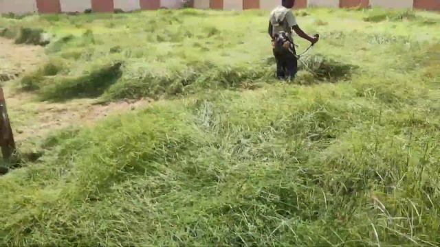 Part-2, Honda Grass Cutting Machine.. Can It Cut Oversized Long Grass. Cut Grass With Ease.