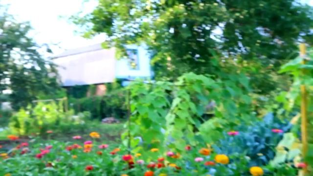 ВЛОГ:ОТМЕЧАЕМ МЕСЯЦ СО СВАДЬБЫ! смотреть онлайн