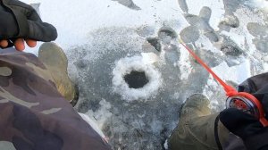 Первый лед | Рыбалка на Безмотылку и Балансиры | Ловля окуня