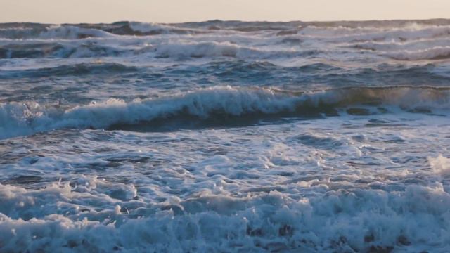 The Ocean's Surprising Energy Secrets Uncovered смотреть онлайн