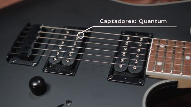 Groover - Guitarra Ibanez RG421EXBKF смотреть онлайн