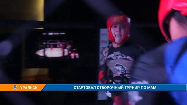 СТАРТОВАЛ ОТБОРОЧНЫЙ ТУРНИР ПО ММА смотреть онлайн