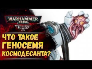 Прогеноиды и геносемя космоджесанта. Как это работает? История мира Warhammer 40000