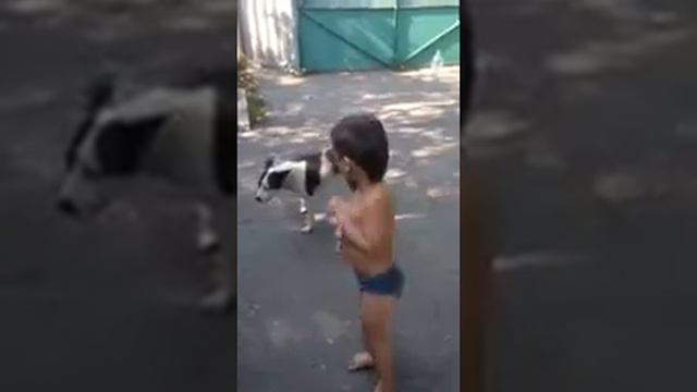 Укусила!!! смотреть онлайн