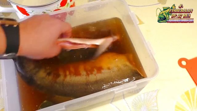 Автомобильные Приключения