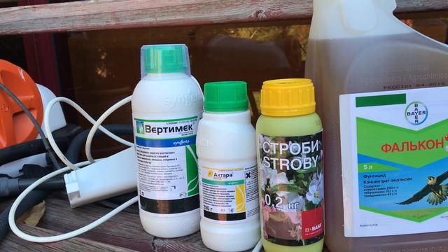УДОБРЕНИЯ ДЛЯ РОЗ.Удобрение для роз 2018 год. смотреть онлайн
