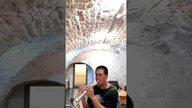 【TRUMPET】 Paganini Caprice No. 24 смотреть онлайн