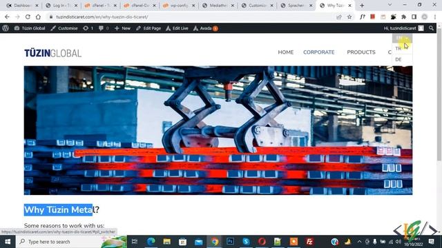 How to Assign Different Custom Fonts for Different Languages in Polylang WordPress смотреть онлайн