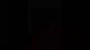 СВО Главное