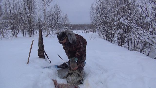 Консервация шкурки лисицы по похдному 55 смотреть онлайн